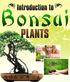 Introduction to. Bonsai Plants. Page 2