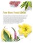 Proven Winners Perennial Collection