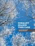 DORMANT SEASON TREE CARE. Damage Prevention and Maintenance