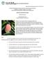 GRAFTING THE MANGO IN HAWAII. William Bembower. Revised by Warren Yee Assistant Specialist in Horticulture