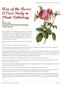 War of the Roses: A Case Study in Plant Pathology