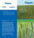 Insecticide and fungicide seed treatment together for on-farm use