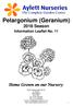 Pelargonium (Geranium) 2018 Season