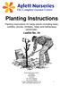 Planting Instructions
