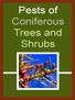 Pests of Coniferous Trees and Shrubs