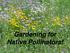 Gardening for Native Pollinators!
