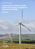 Assessing the impact of smallscale wind energy proposals on the natural heritage