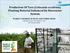 Production Of Taro (Colocasia esculenta) Planting Material Enhanced By Bioreactor System.