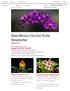 New Mexico Orchid Guild Newsletter August 2015
