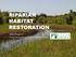 RIPARIAN HABITAT RESTORATION. Helen Swagerty Senior Restoration Biologist/Project Manager