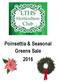 Poinsettias. Colors Available: Red, White, & Pink 6 pot with cover 1 branched plant per pot 5+ flowers ~ 14 tall