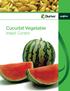 Cucurbit Vegetable Insect Control