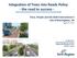 Integration of Trees into Roads Policy - the road to success -