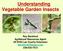 Understanding Vegetable Garden Insects. Roy Beckford Ag/Natural Resources Agent UF/IFAS Lee County Extension