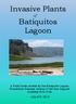 Invasive Plants. Batiquitos Lagoon