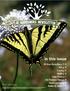 in this issue All About Butterflies p. 2-3 Gifts p. 4 Events p. 5 Weeds p. 6 Haiku Poems p. 7 Ask Professor Pansy p. 8