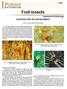 Fruit Insects EUROPEAN RED MITE MANAGEMENT. Department of Entomology E-258-W. Ricky E. Foster, Extension Entomologist