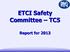 ETCI Safety Committee TC5. Report for 2013