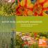 Water wise landscape Handbook. Save water and enjoy a beautiful yard with these landscape tips