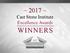 ~ 2017 ~ Cast Stone Institute Excellence Awards WINNERS