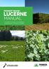 Pioneer brand LUCERNE MANUAL. A complete guide to growing, harvesting & feeding lucerne. A YATES FAMILY OWNED and MANAGED BUSINESS.