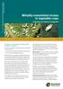 Whitefly-transmitted viruses in vegetable crops