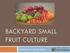 BACKYARD SMALL FRUIT CULTURE. Presented by Patrick Byers