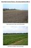 Prees Heath Common Reserve Re-creating Heathland Arable cultivation Area 2 in 2004 before reserve purchase.