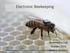 Electronic Beekeeping