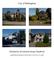 City of Bellingham. Multifamily Residential Design Handbook