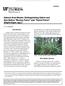 Natural Area Weeds: Distinguishing Native and Non-Native Boston Ferns and Sword Ferns (Nephrolepis spp.) 1