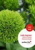 Lady Ingreen. Dianthus barbatus. Technical Guide
