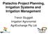 Pistachio Project Planning, Irrigation Systems and Irrigation Management. Trevor Sluggett Irrigation Agronomist AgriExchange Pty Ltd