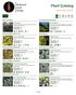 Buyer's Guide. Plant Catalog. a h / e = 3 9 Abelia x grandiflora Canyon Creek. / = y. % = c t x Aucuba japonica Crotonifolia