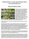 Full Disclosure, I create and sell Sumo Cakes  Bonsai Fertilizer Basics