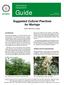 Suggested Cultural Practices for Moringa. by M.C. Palada and L.C. Chang 1