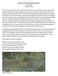 2012 Lake Puckaway EPS Planting Report Andrew Sabai November 2012