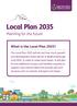 What is the Local Plan 2035?