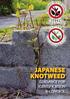 JAPANESE KNOTWEED GUIDANCE FOR IDENTIFICATION & CONTROL