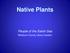 Native Plants. People of the Salish Sea. Whatcom County Library System