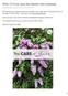 When To Prune Lilacs And General Care Guidelines
