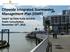 Citywide Integrated Stormwater Management Plan (ISMP) DRAFT ACTION PLAN REVIEW Public Consultation November 16 th, 2016