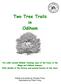 Two Tree Trails in Odiham