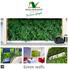 Index. Transform bare walls into living green oases 4. The advantages of a green wall 6. Bin Fen Green Wall 8. NextGen Living Wall 10.