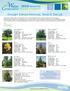 Drought Tolerant Perennial, Shrub & Tree List