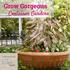 Grow Gorgeous. Container Gardens. Inspiration from