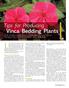 Last month, I discussed tips for vinca
