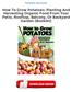 How To Grow Potatoes: Planting And Harvesting Organic Food From Your Patio, Rooftop, Balcony, Or Backyard Garden (Booklet) PDF