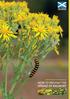 Scottish Government Guidance on HOW TO PREVENT THE SPREAD OF RAGWORT