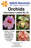 Orchids. Information Leaflet No. 67